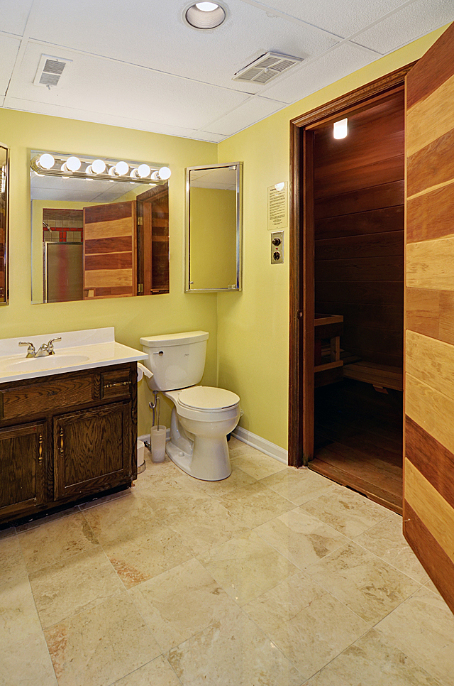 803 Merry Lane Oak Brook, IL 60523 - Photo 33 of 39 a bathroom with a granite countertop sink a toilet and a mirror