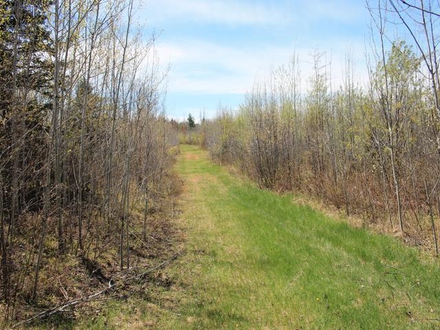 19081 Erickson Drive Dunbar, WI 54119 - Photo 59 of 87