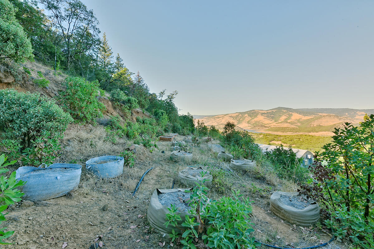 1650 Neil Creek Road Ashland, OR 97520 - Photo 39 of 48 DSC_0384.jpg.39