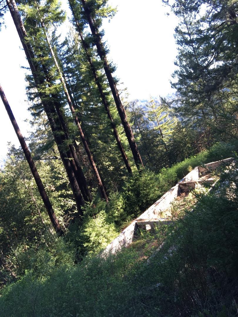 490 Quail Ridge Road Scotts Valley, CA 95066 - Photo 5 of 9 Gallery Image 5