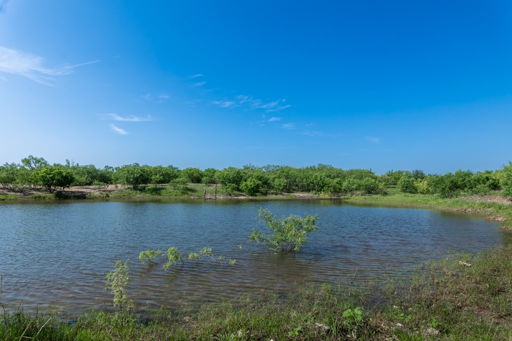 88291 Suaa Rd Well Lohn, TX 76852 - Photo 15 of 44 a view of a lake with houses in the background
