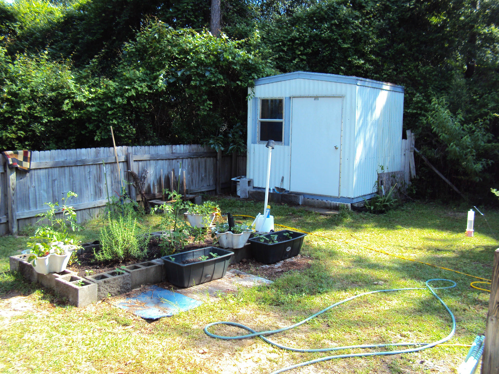 6181 Garden City Road Crestview, FL 32539 - Photo 3 of 14 a view of a backyard with plants