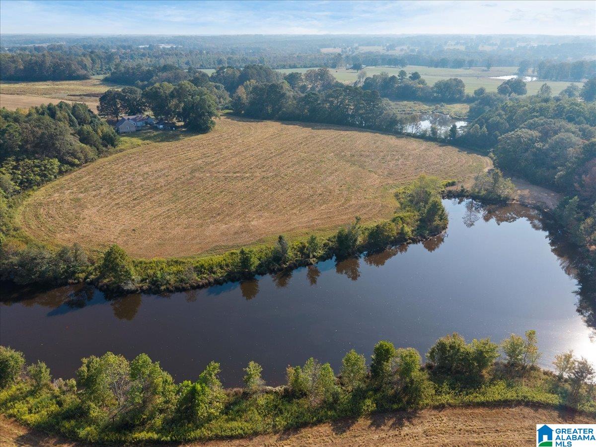 21 County Road, Unit 2 00 Horton, AL 35980 - Photo 4 of 17