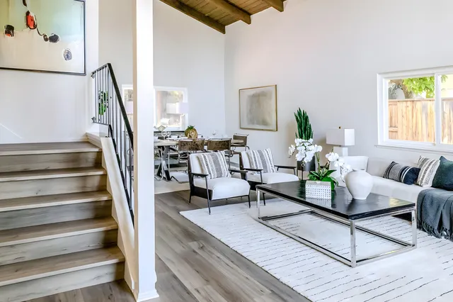 a living room with furniture and a potted plant