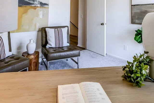 a living room with furniture and a potted plant