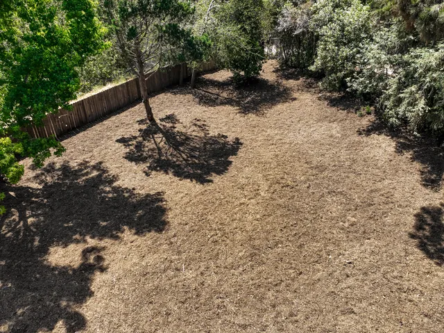 a view of a yard with plants and trees