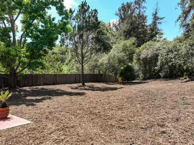 a view of a yard with trees