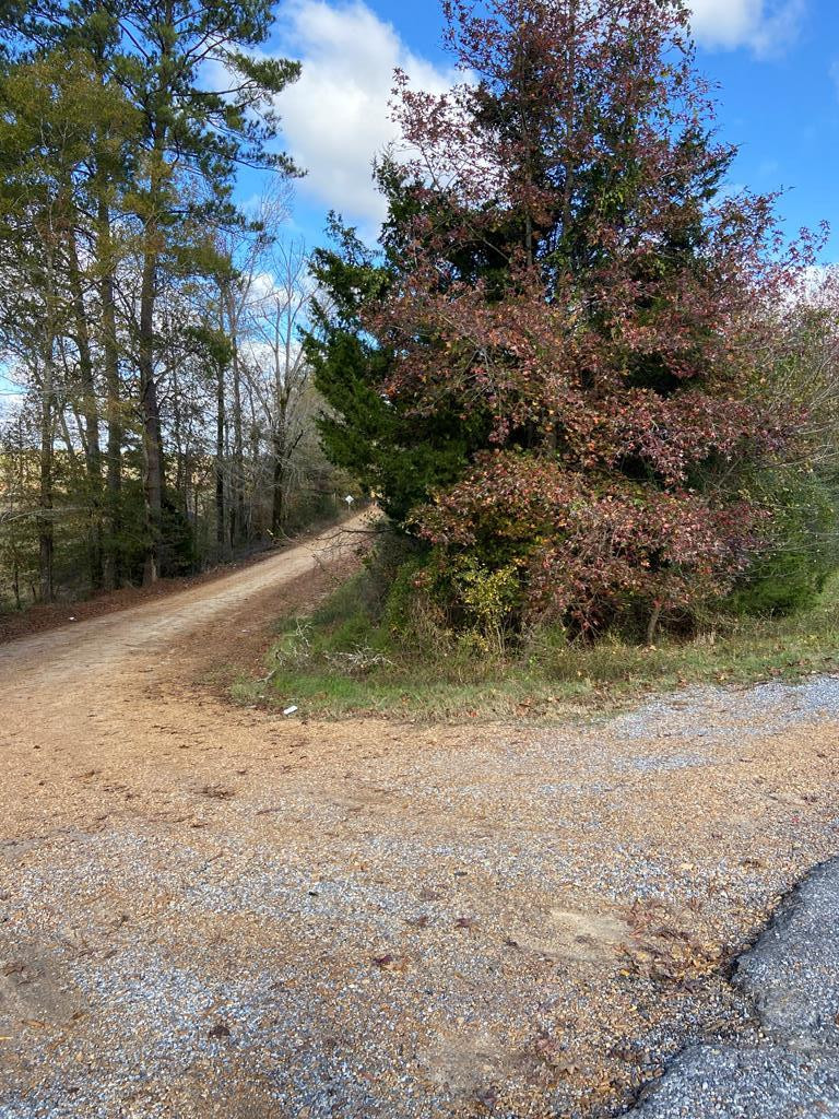 0 Corban Road Fayette, MS 39069 - Photo 1 of 4 Main View
