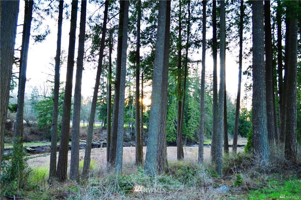 3888 Kickerville Road Blaine, WA 98230 - Photo 14 of 15