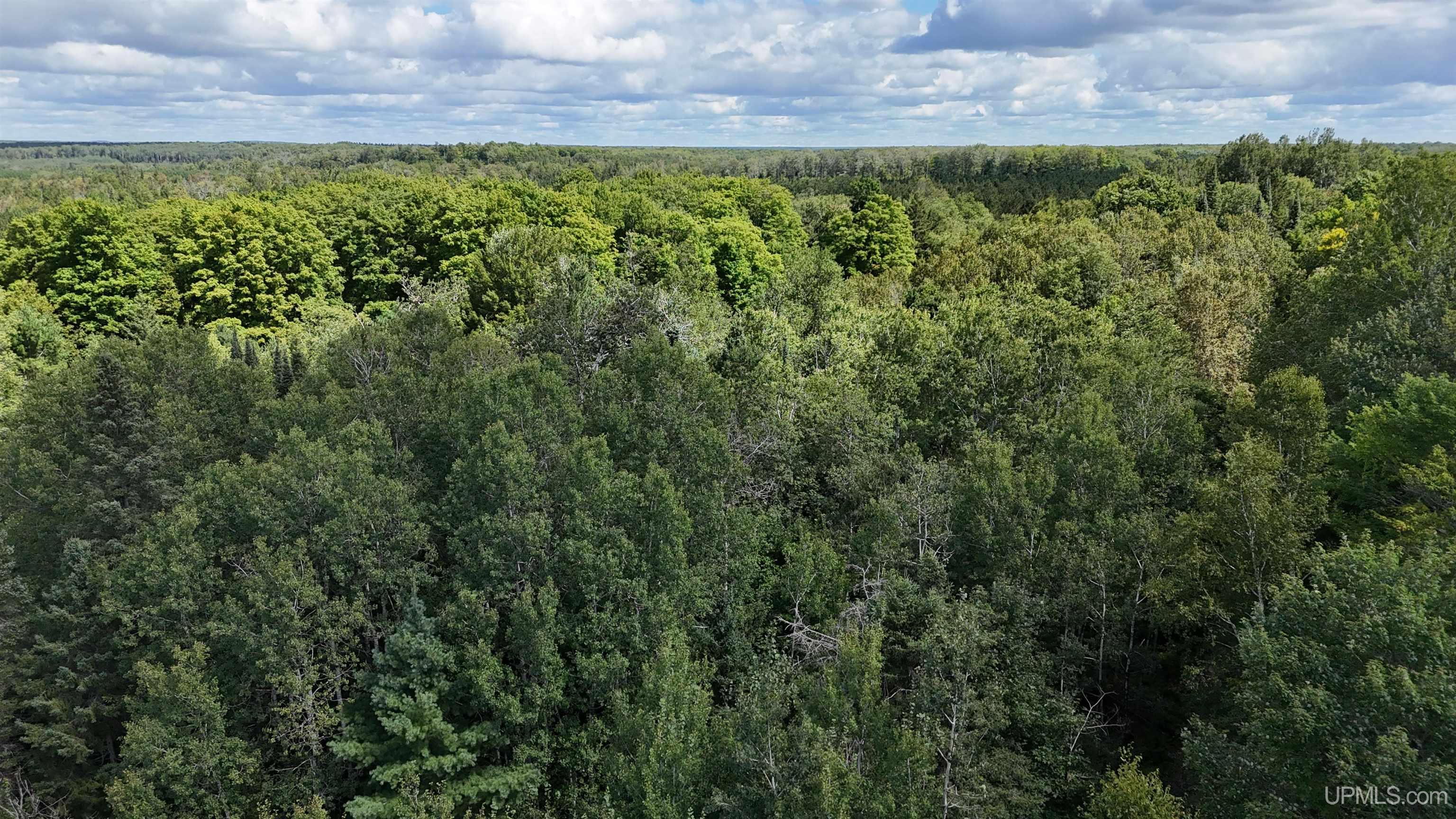 Lake Street Germfask, MI 49836 - Photo 2 of 36