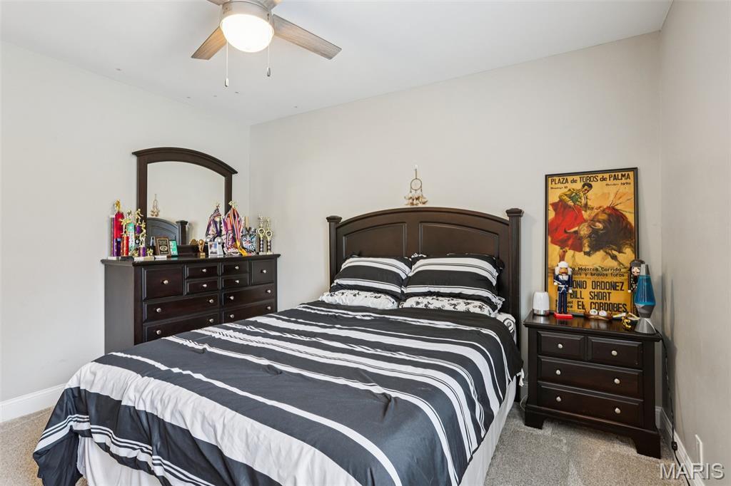 74 Horseshoe Lane Litchfield, IL 62056 - Photo 13 of 47