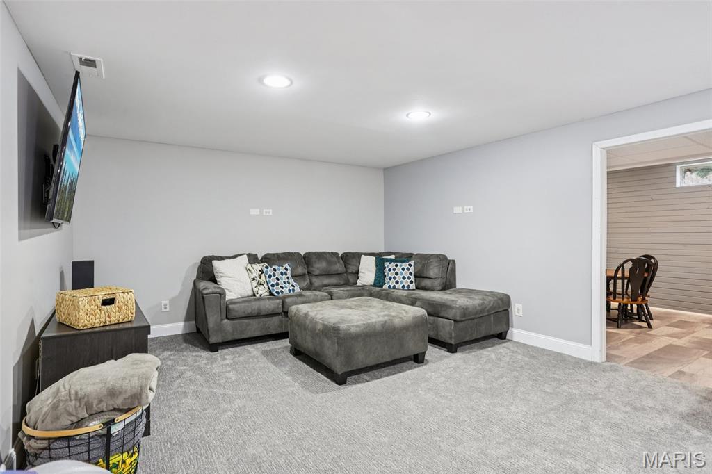 74 Horseshoe Lane Litchfield, IL 62056 - Photo 30 of 47
