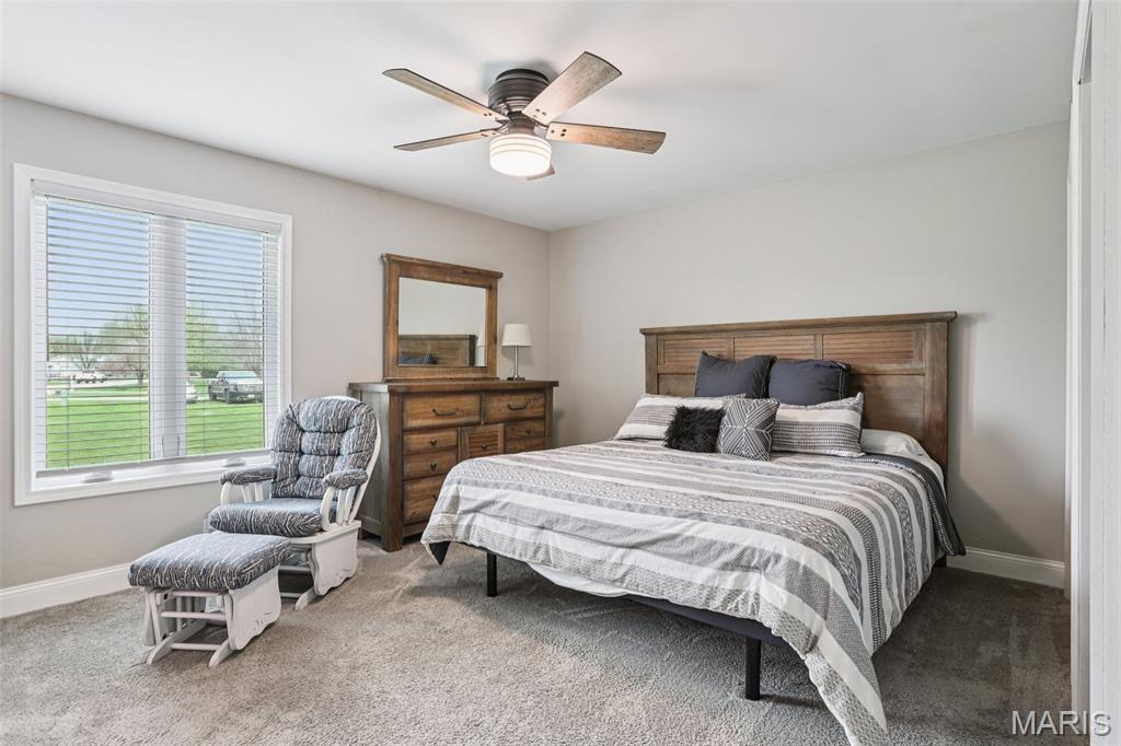 74 Horseshoe Lane Litchfield, IL 62056 - Photo 9 of 47