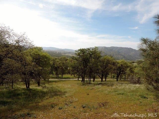 0 Rice Drive Tehachapi, CA 93561 - Photo 1 of 16 Gallery Image 1