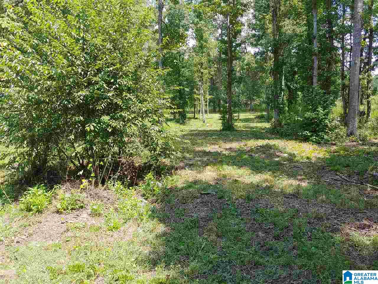 Lot 4 County Road 986, Unit 4 Montevallo, AL 35115 - Photo 2 of 5