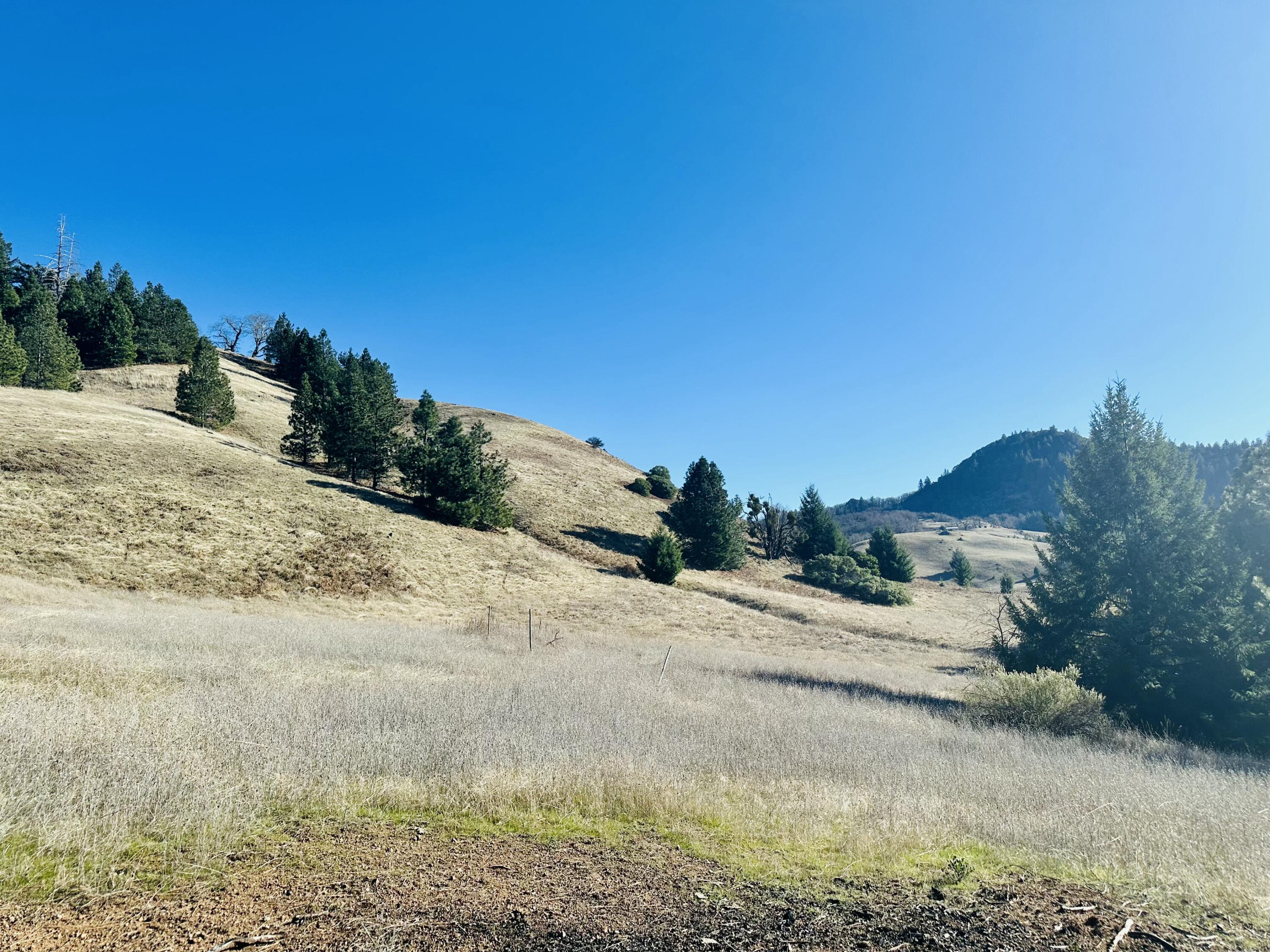 40 Wool Mountain Road Zenia, CA 95595 - Photo 54 of 62 tempImagegraLpT