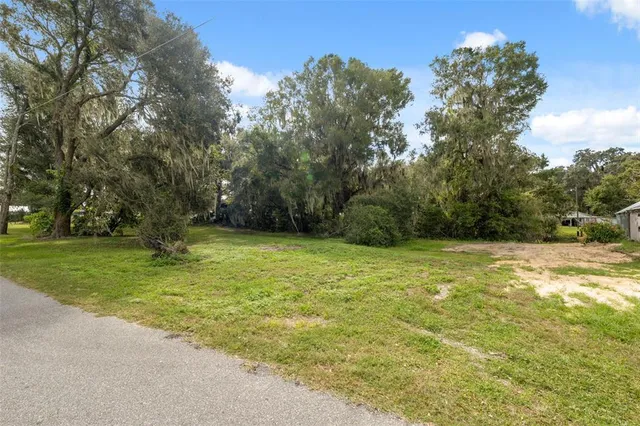 $39,500 | 457 Co Rd Lake, Lake Panasoffkee, FL 33538