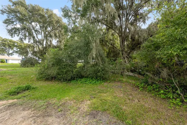 $39,500 | 457 Co Rd Lake, Lake Panasoffkee, FL 33538