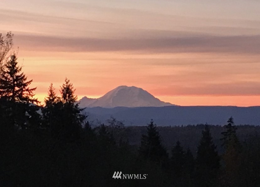 18824 Mountain View Road Northeast Duvall, WA 98019 - Photo 3 of 31 Gallery Image 3
