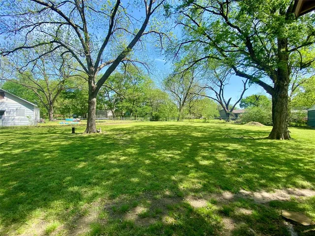 a view of a park with a tree