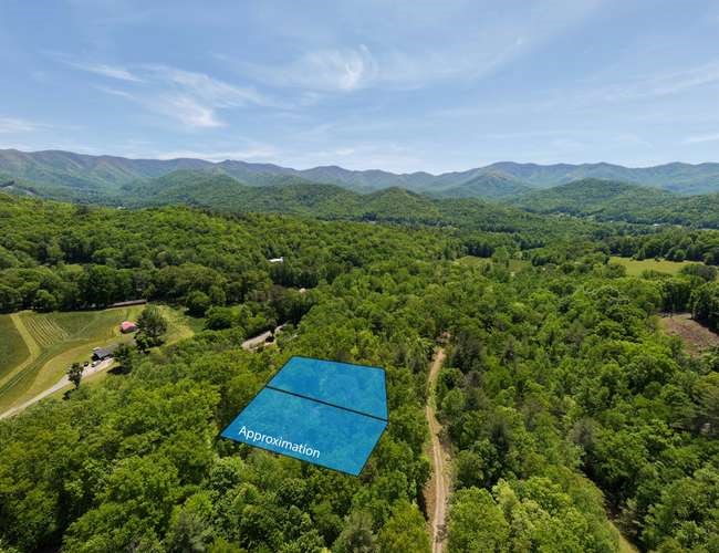 18-19 Sarvis Road Hayesville, NC 28904 - Photo 6 of 12 a view of a lush green hillside and a houses