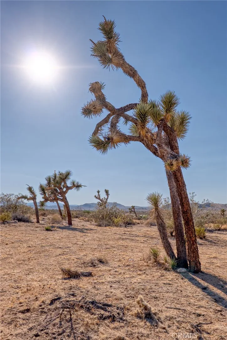 107 Juniper Road Joshua Tree, CA 92252 - Photo 1 of 1 Gallery Image 1