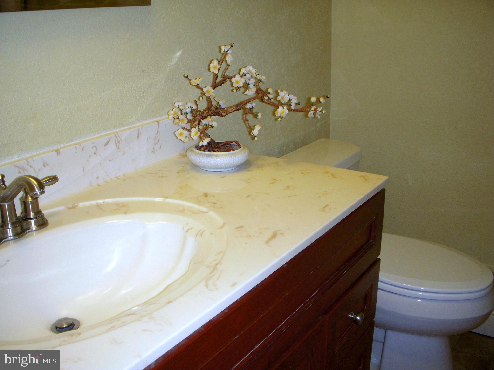 9503 Curran Road Silver Spring, MD 20901 - Photo 13 of 25 Bath