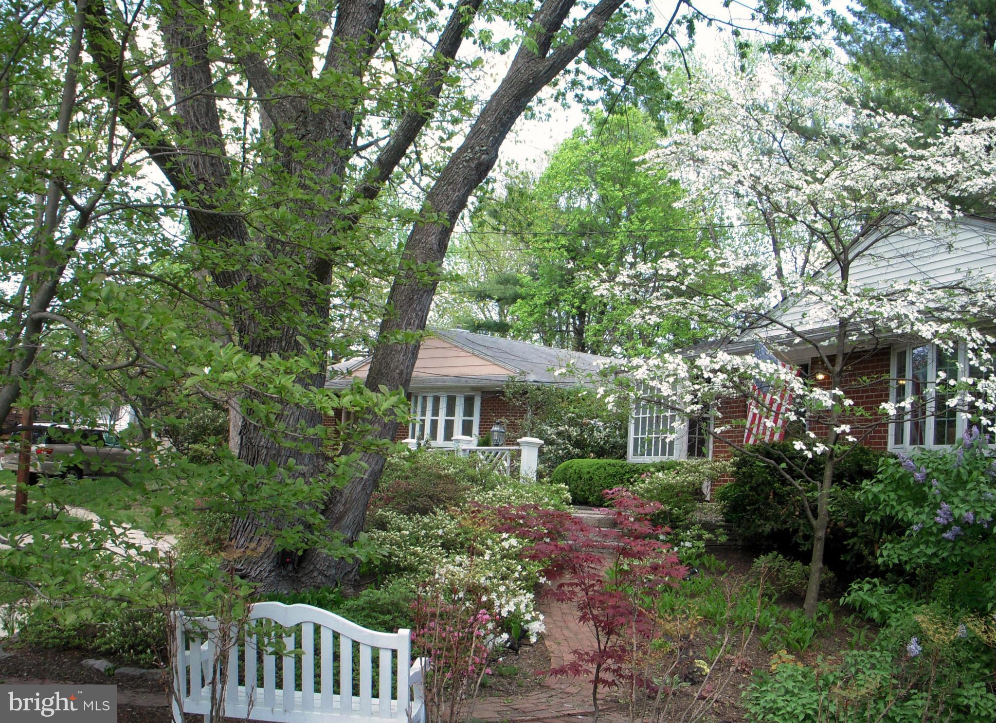 9503 Curran Road Silver Spring, MD 20901 - Photo 20 of 25 View