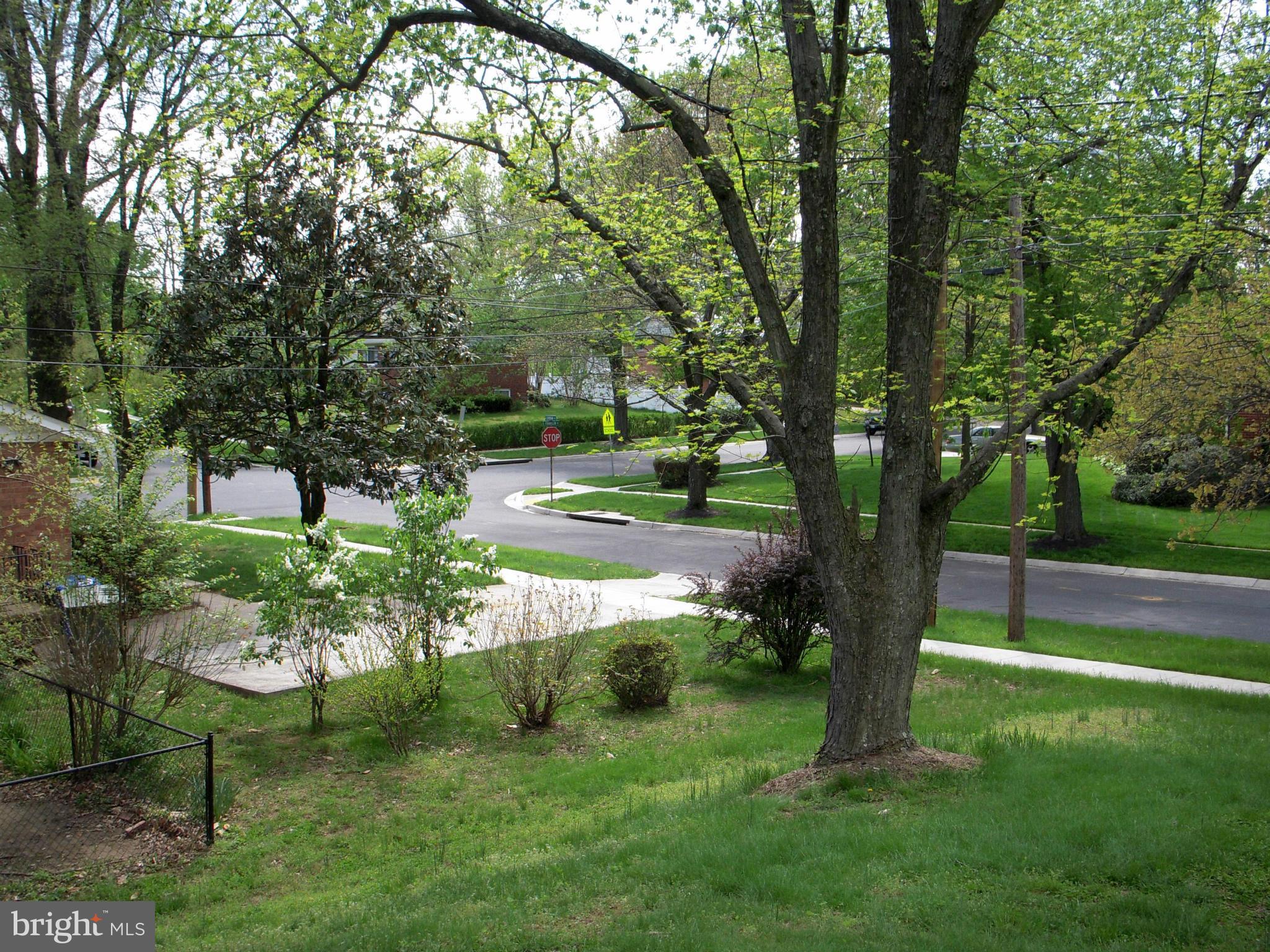 9503 Curran Road Silver Spring, MD 20901 - Photo 22 of 25 View