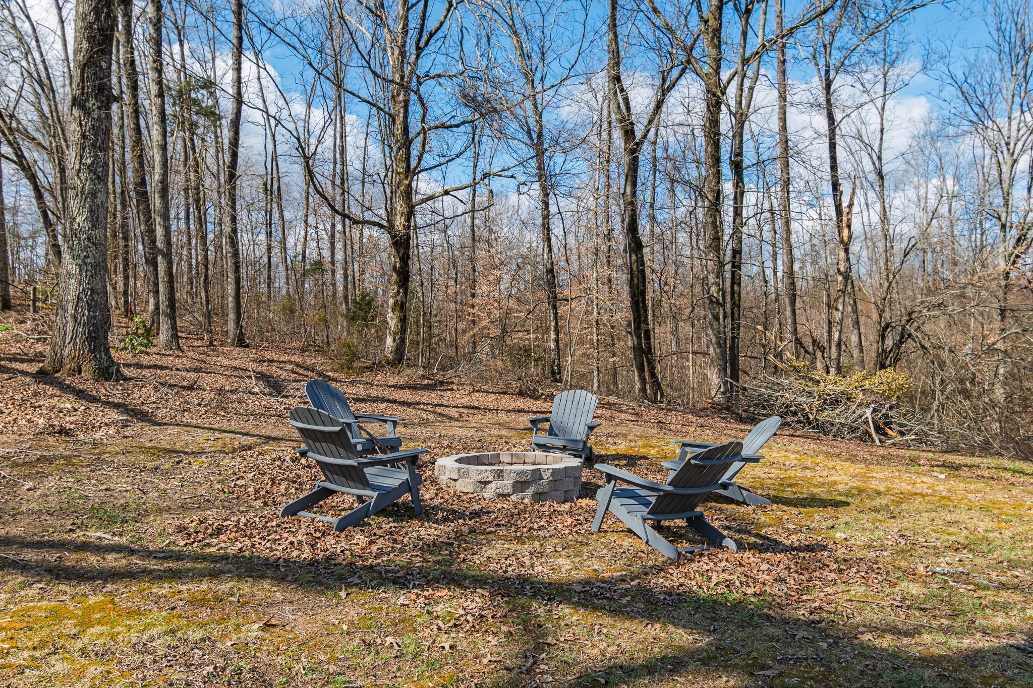 3301 Natural Bridge Road Waynesboro, TN 38485 - Photo 18 of 80