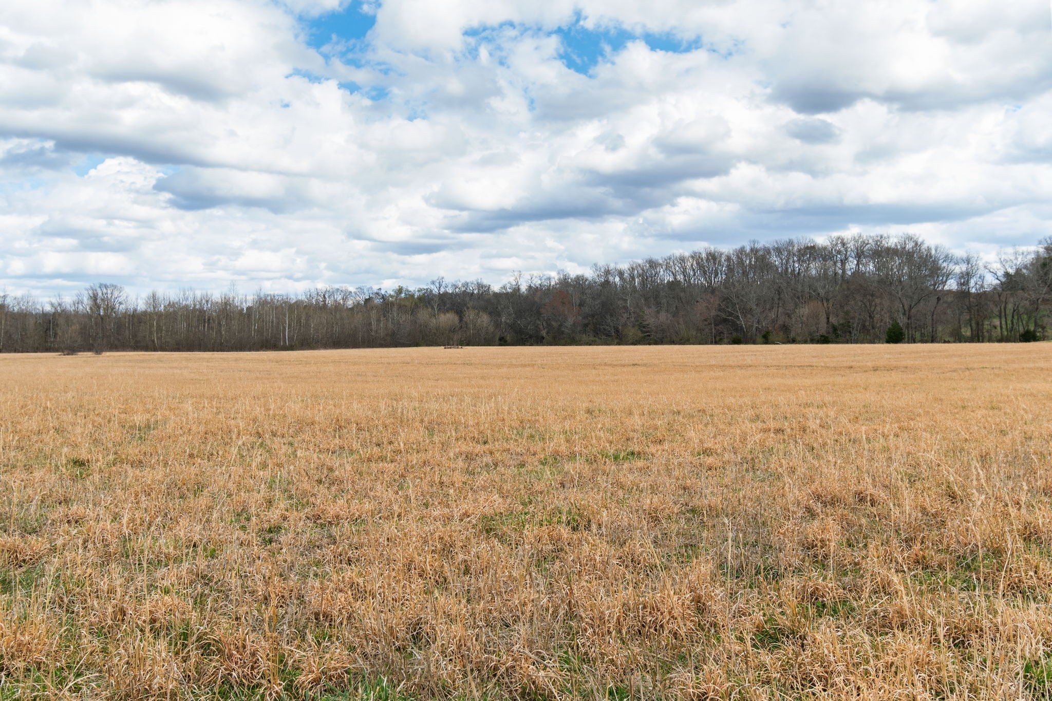 3301 Natural Bridge Road Waynesboro, TN 38485 - Photo 21 of 80