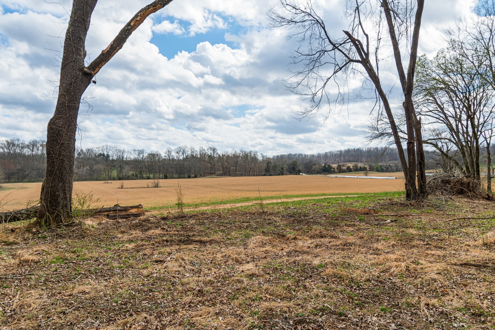 3301 Natural Bridge Road Waynesboro, TN 38485 - Photo 30 of 80