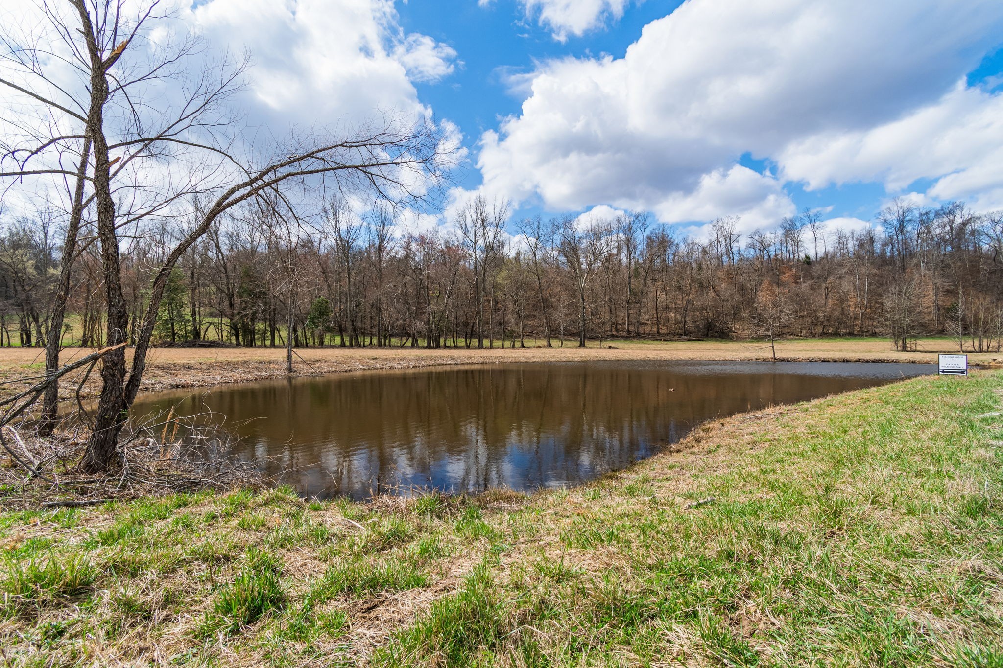 3301 Natural Bridge Road Waynesboro, TN 38485 - Photo 36 of 80