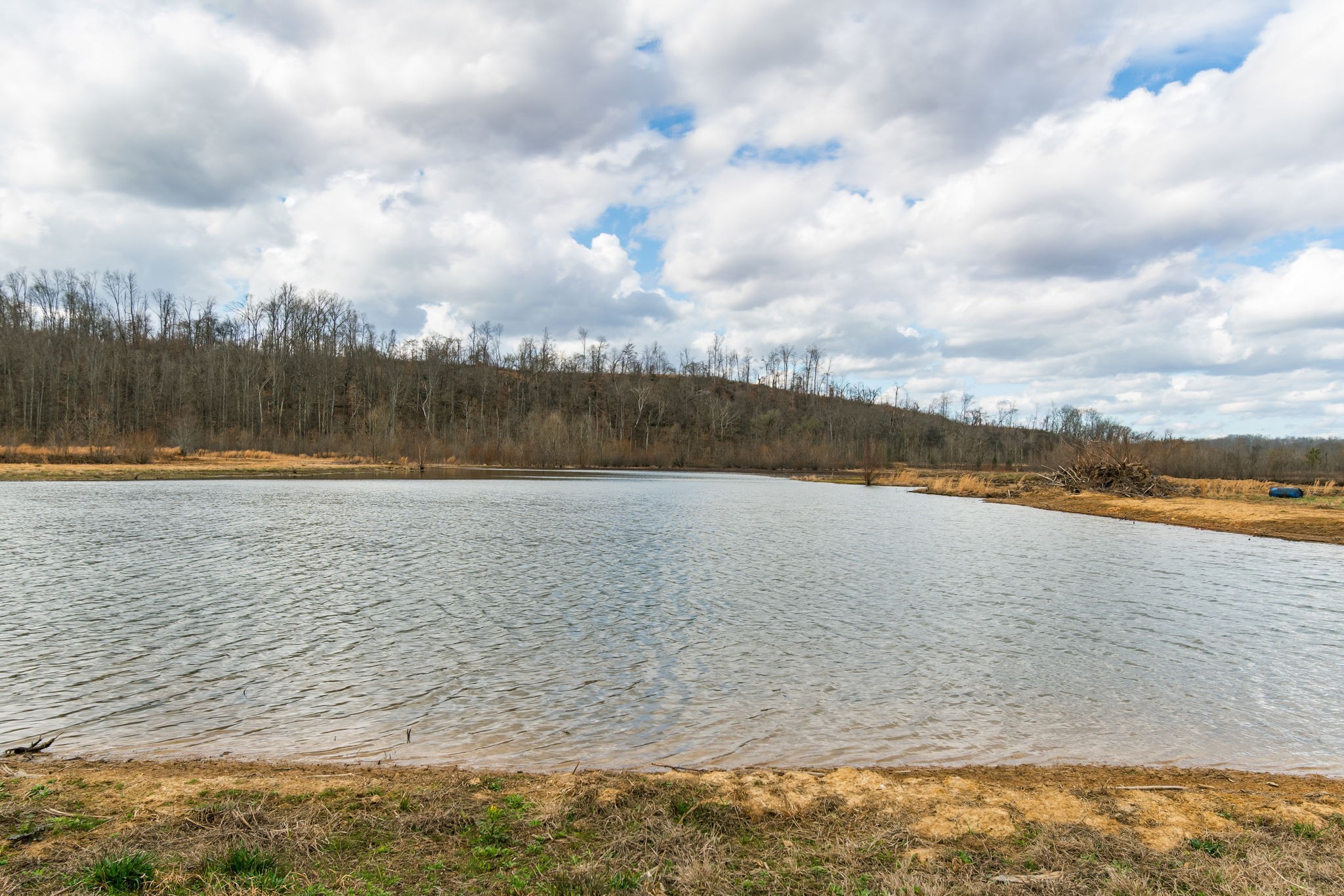 3301 Natural Bridge Road Waynesboro, TN 38485 - Photo 41 of 80