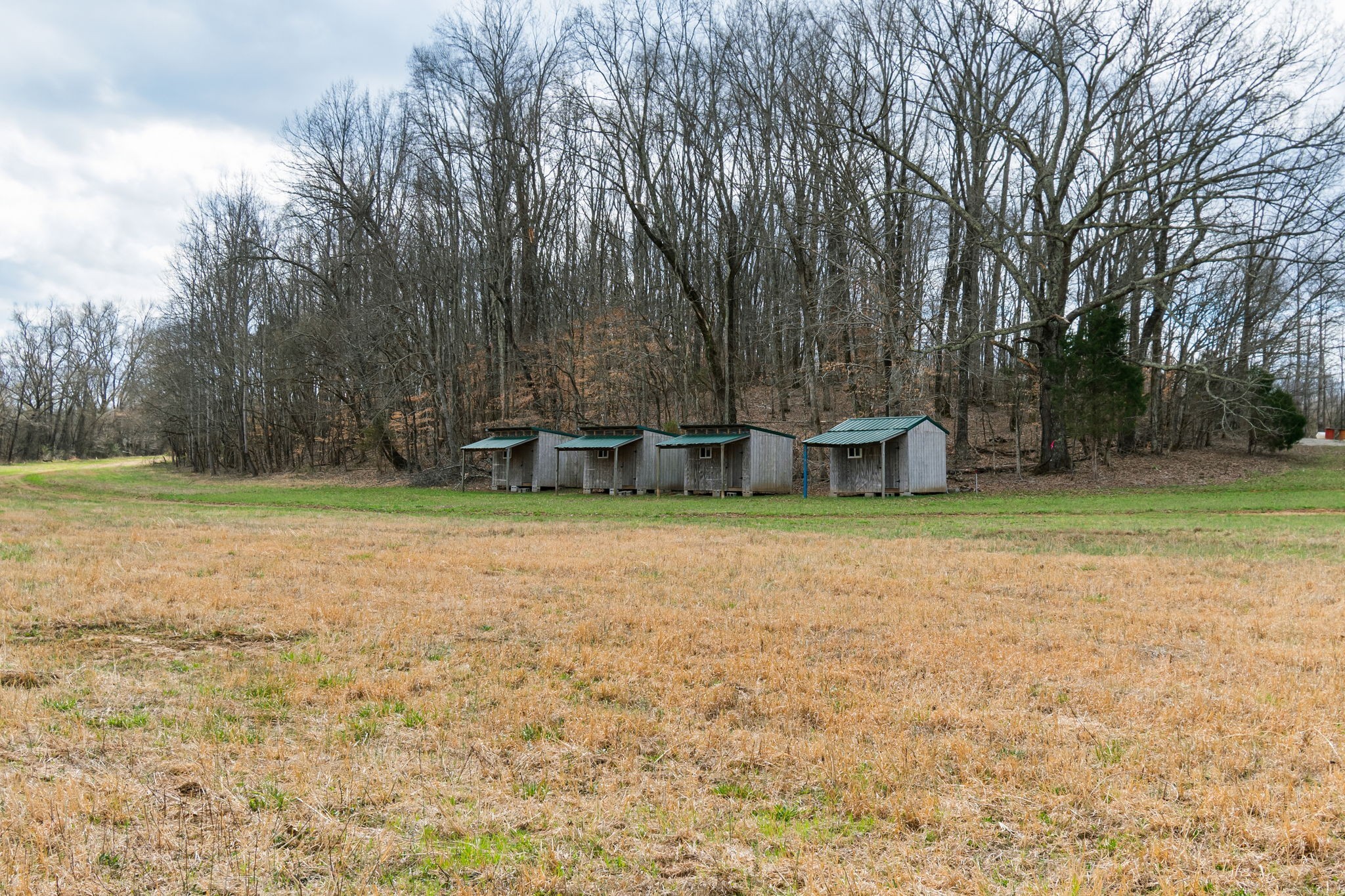 3301 Natural Bridge Road Waynesboro, TN 38485 - Photo 52 of 80