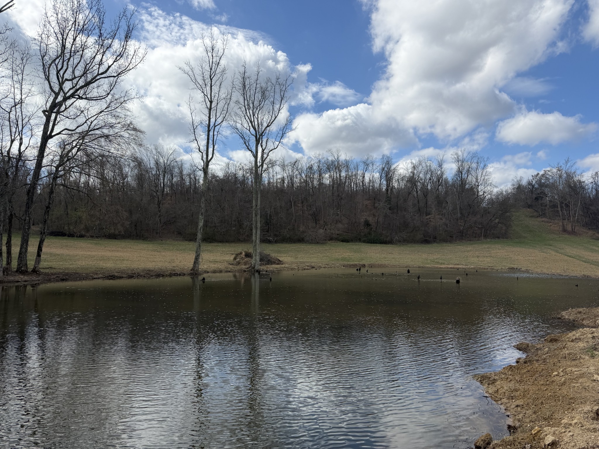 3301 Natural Bridge Road Waynesboro, TN 38485 - Photo 67 of 80