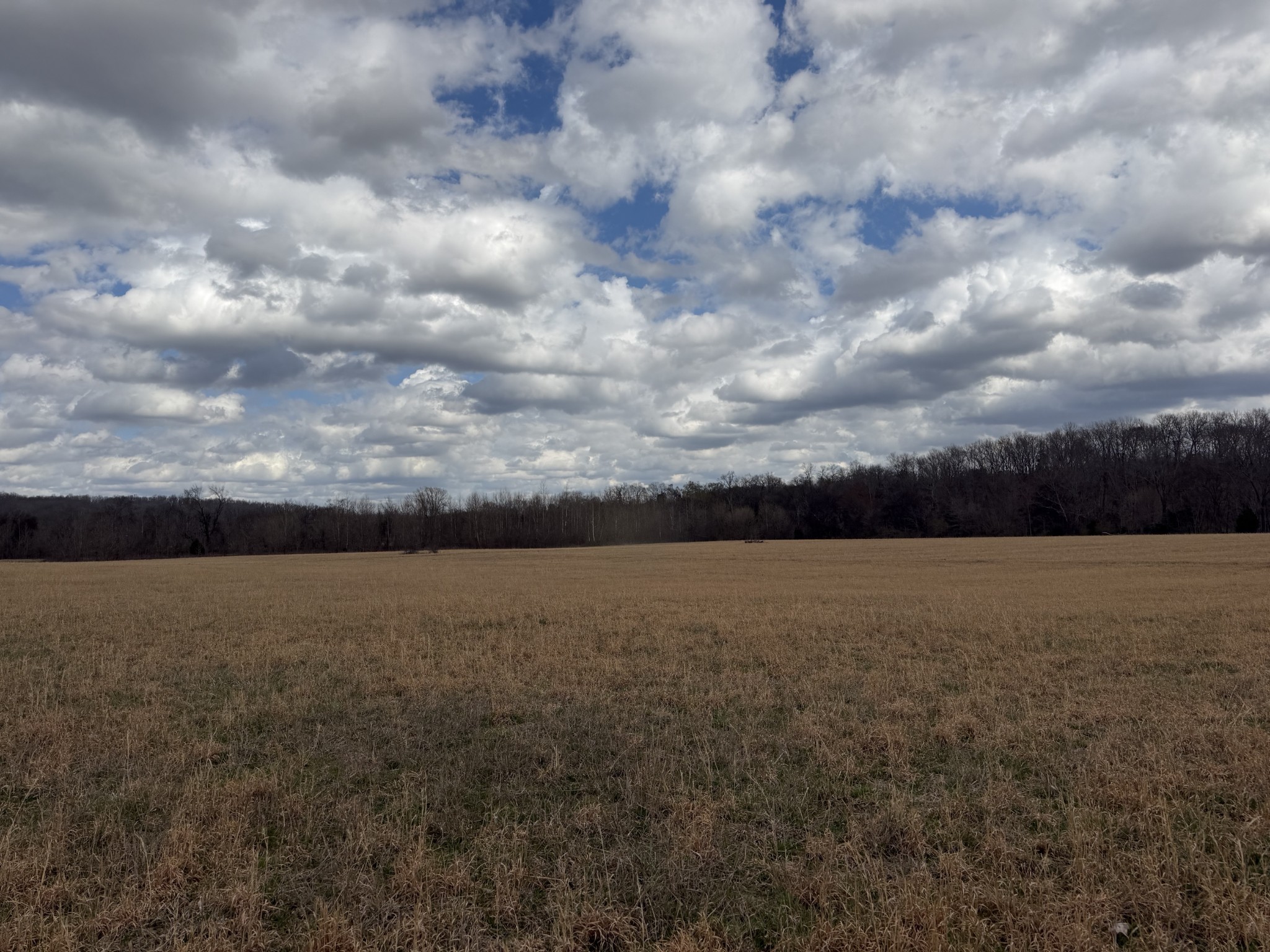 3301 Natural Bridge Road Waynesboro, TN 38485 - Photo 76 of 80