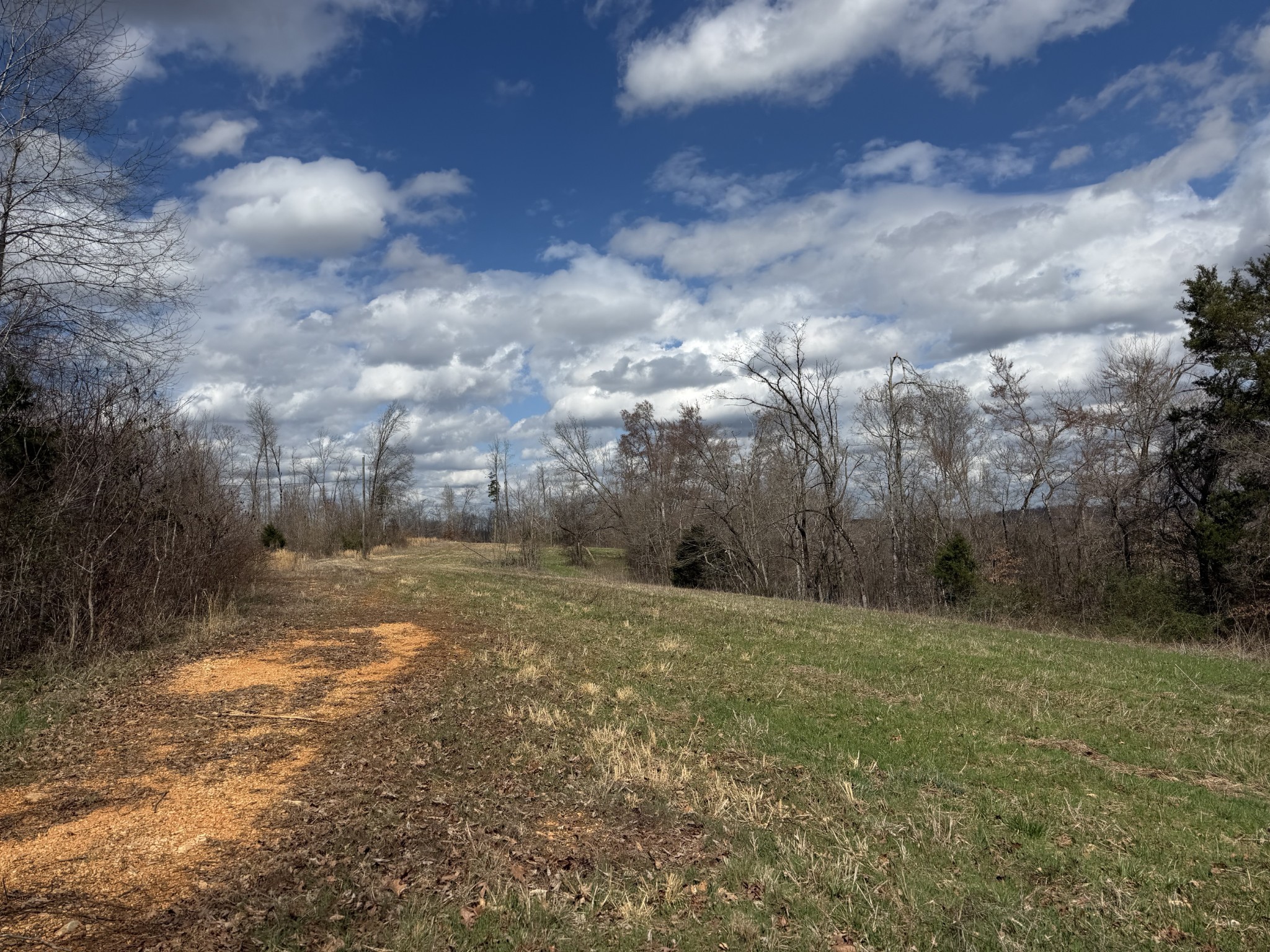 3301 Natural Bridge Road Waynesboro, TN 38485 - Photo 77 of 80