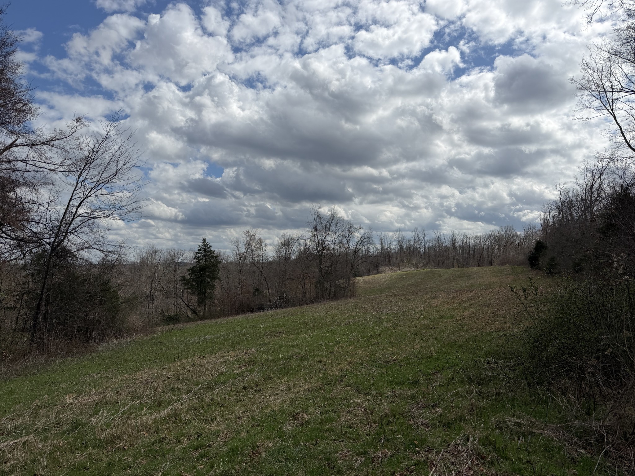 3301 Natural Bridge Road Waynesboro, TN 38485 - Photo 78 of 80