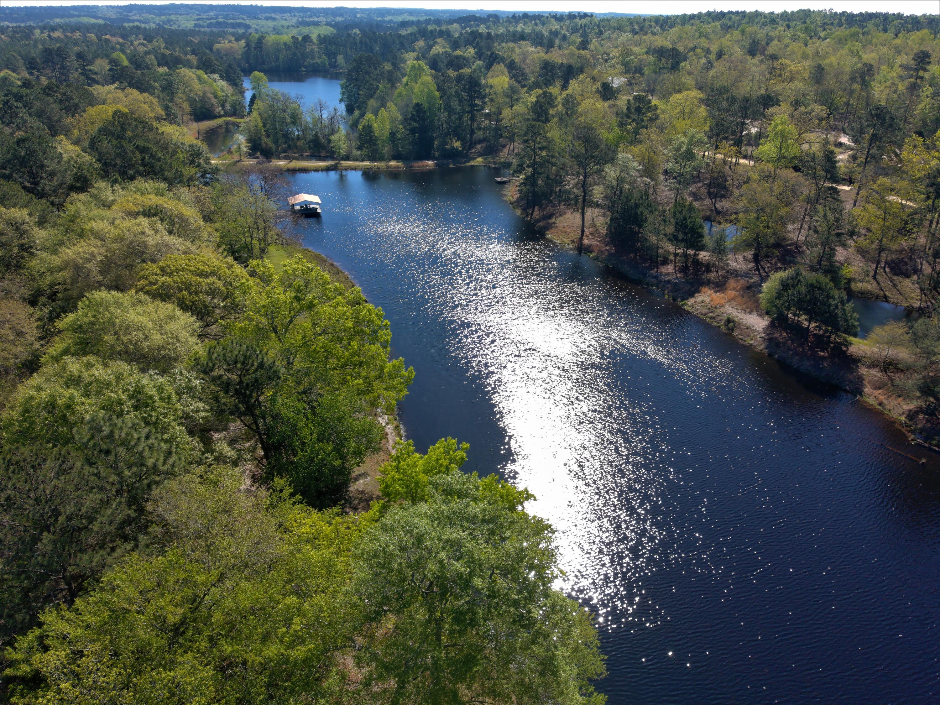 1086 Powell Pond Road Aiken, SC 29801 - Photo 1 of 66 MAX_0004 (2)