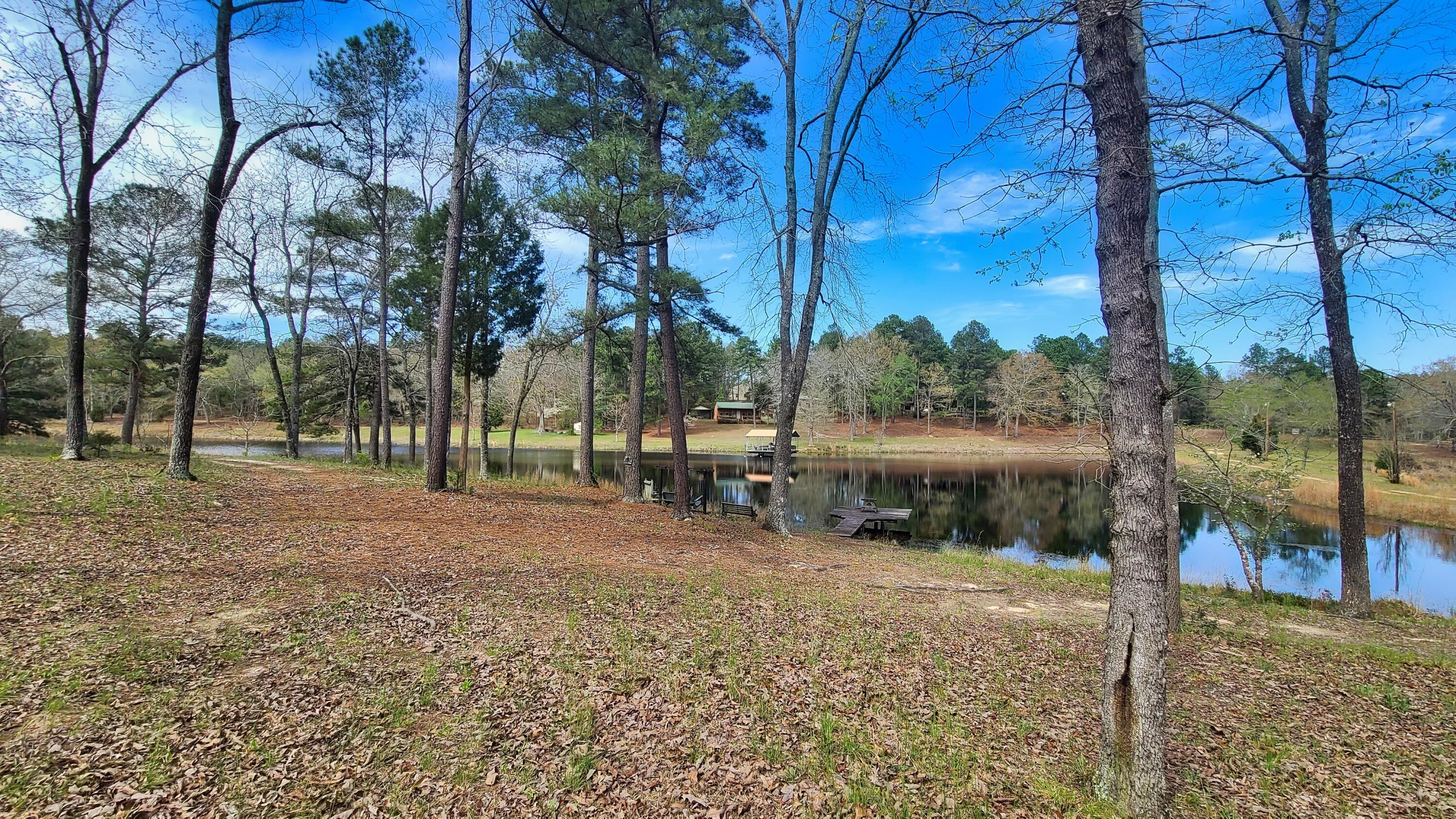 1086 Powell Pond Road Aiken, SC 29801 - Photo 14 of 66 Additional Pond View