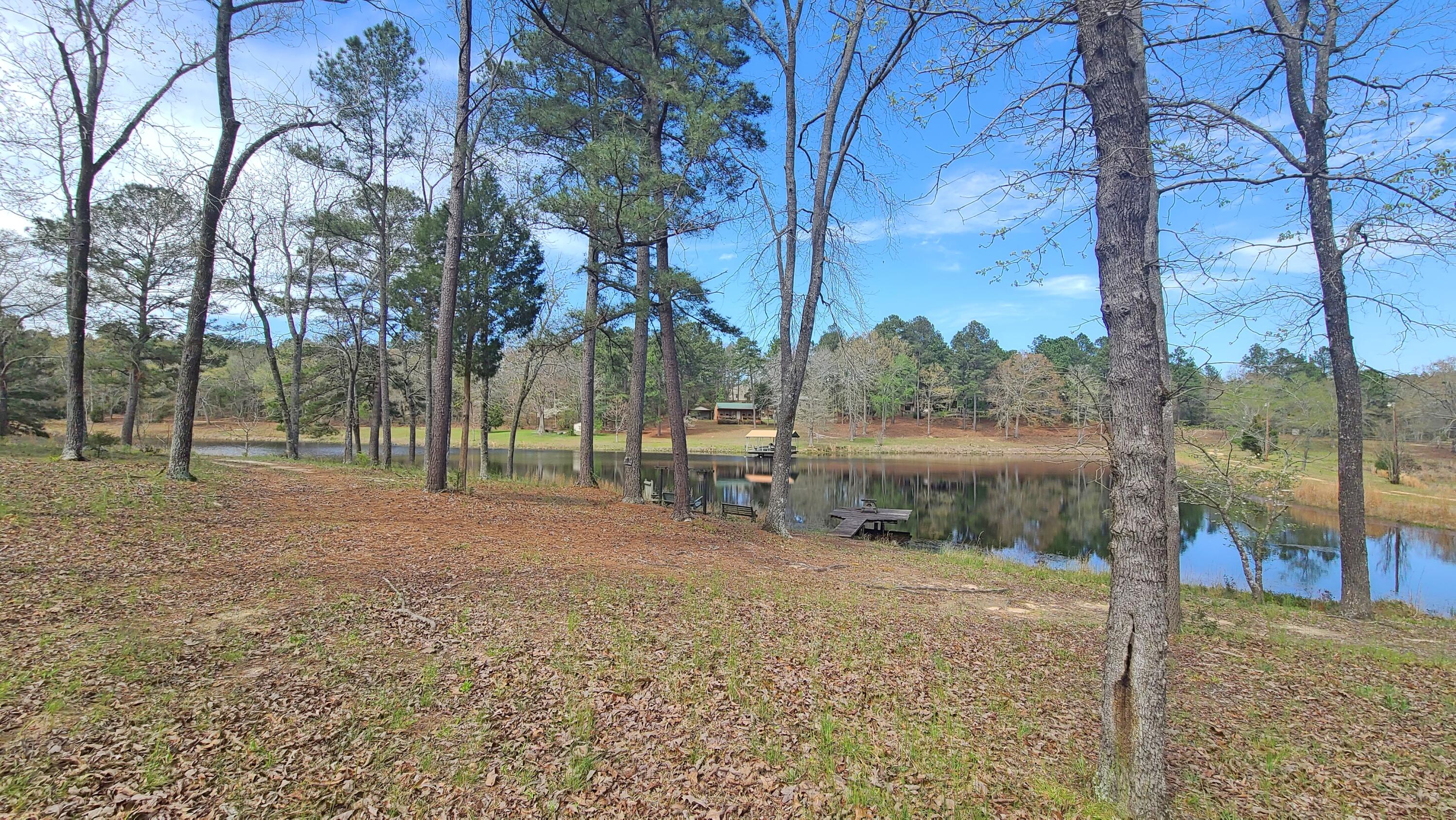 1086 Powell Pond Road Aiken, SC 29801 - Photo 17 of 66 Additional Pond View