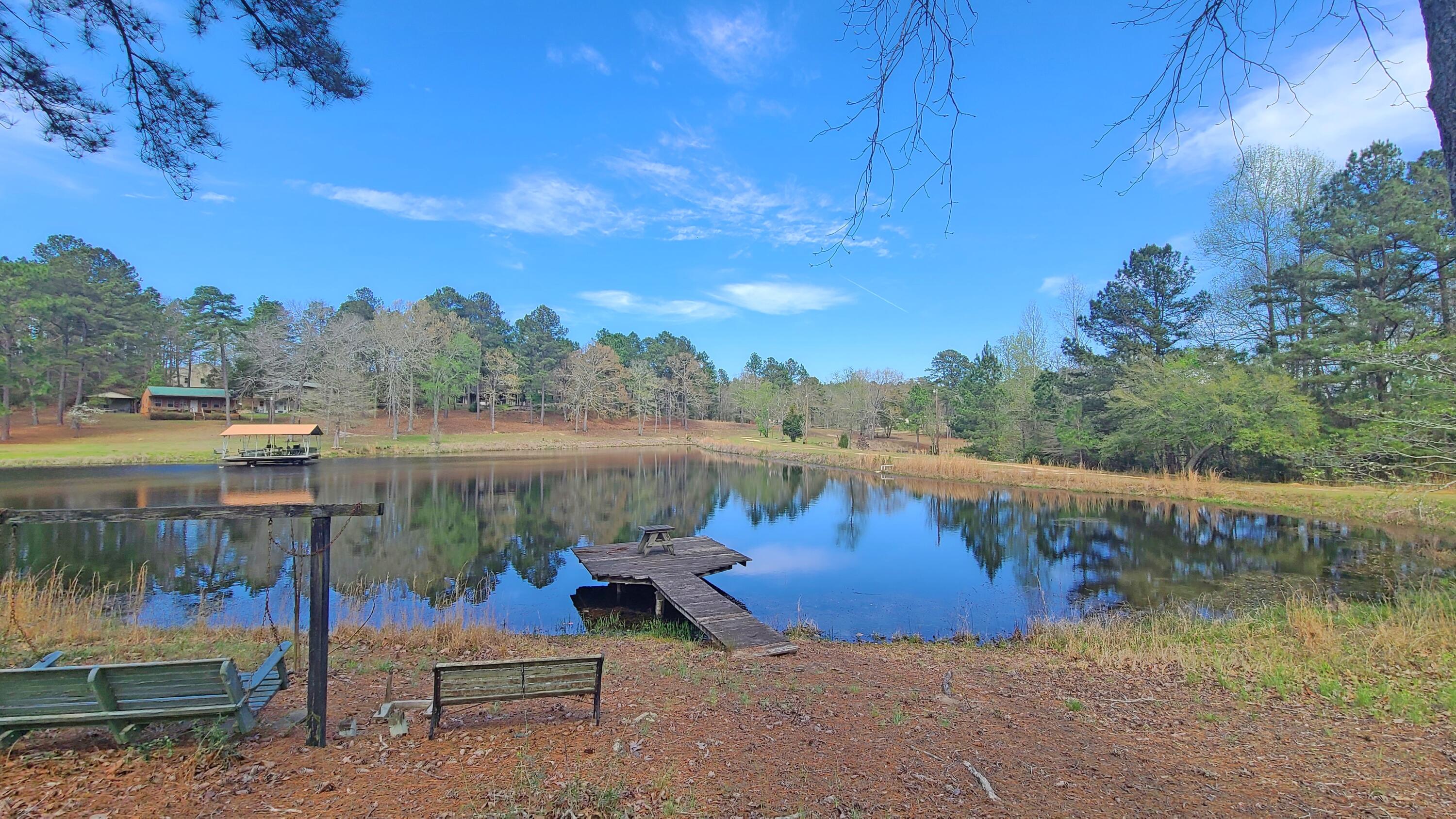 1086 Powell Pond Road Aiken, SC 29801 - Photo 18 of 66 Powellpondrd20230329_140134