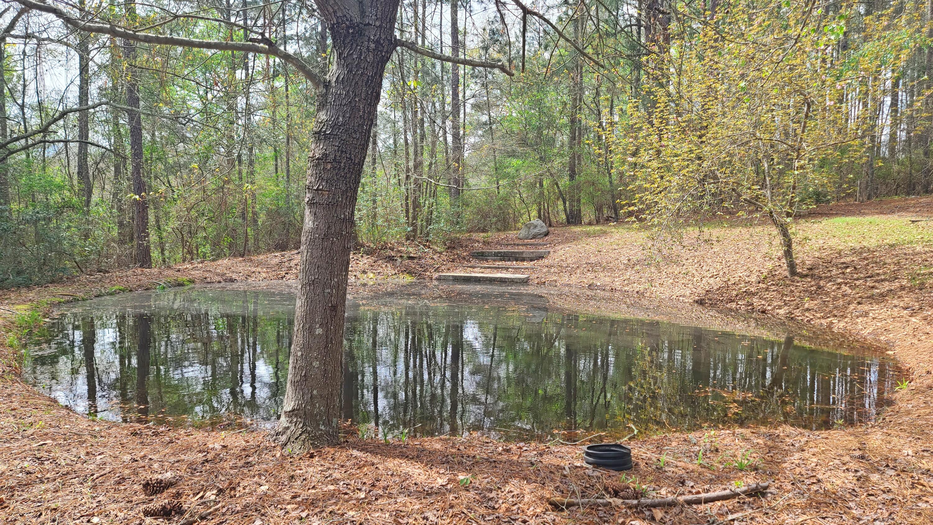 1086 Powell Pond Road Aiken, SC 29801 - Photo 37 of 66 Additional Pond