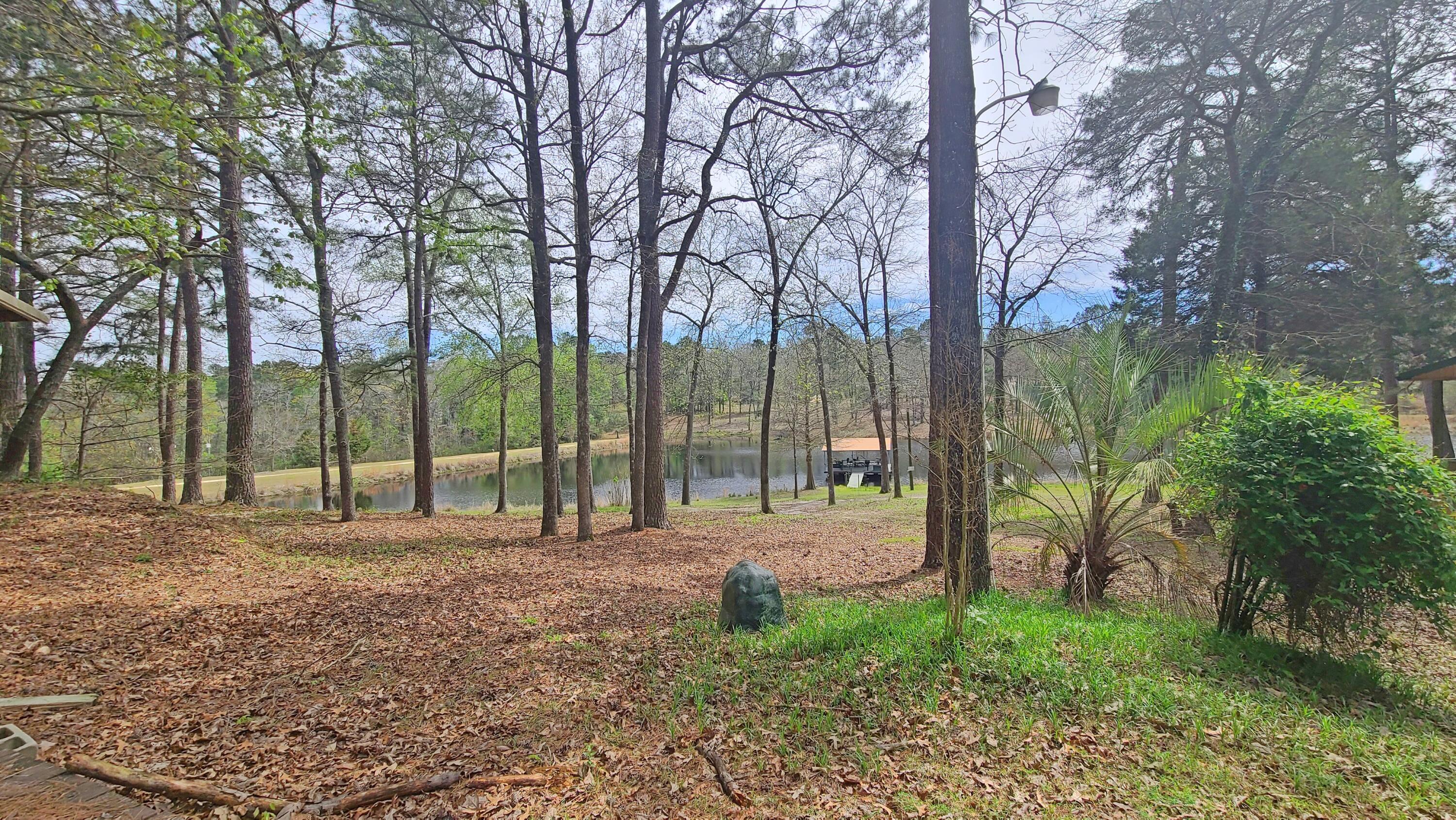 1086 Powell Pond Road Aiken, SC 29801 - Photo 38 of 66 Pond View