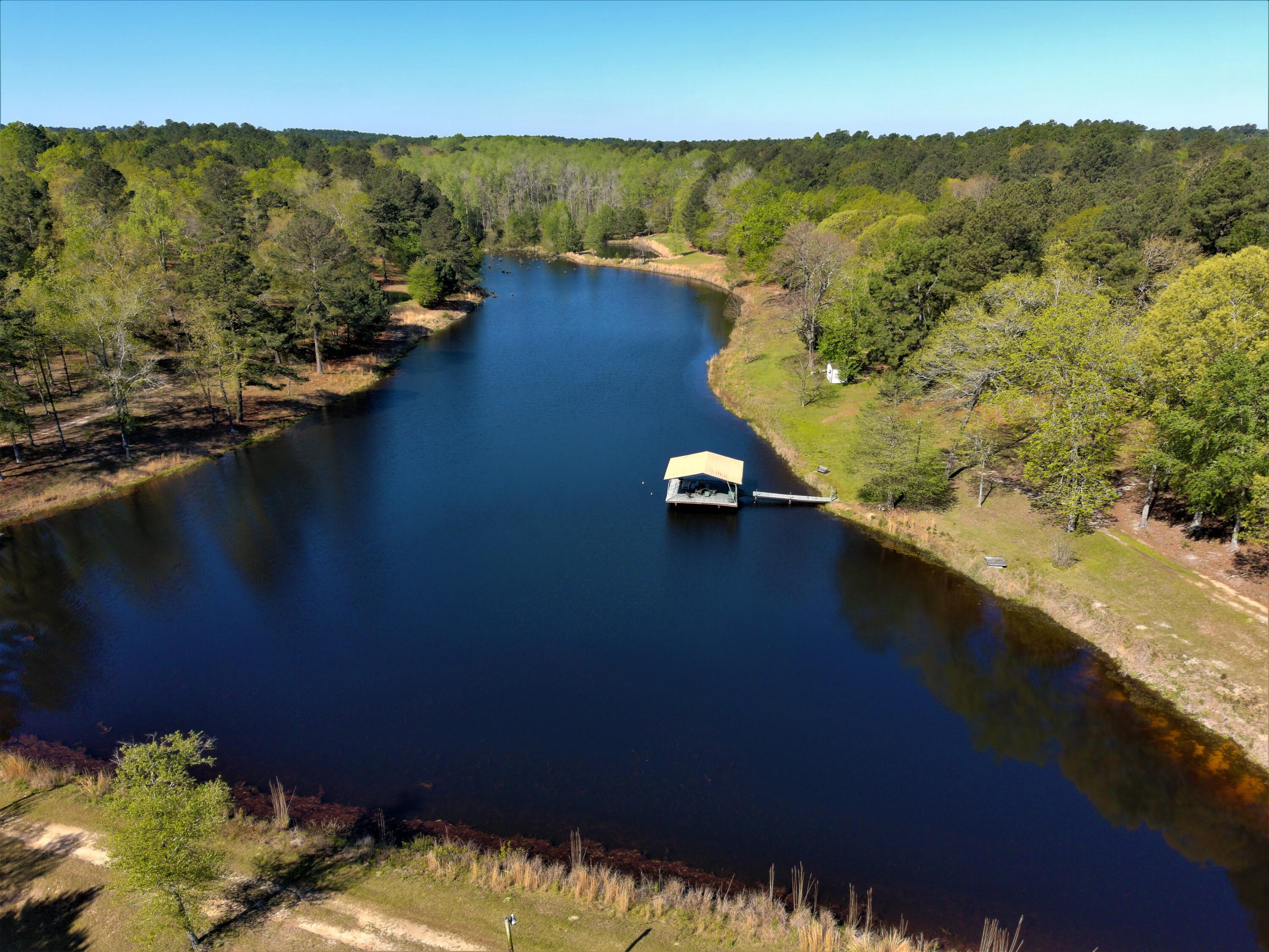 1086 Powell Pond Road Aiken, SC 29801 - Photo 10 of 66 MAX_0006 (2)
