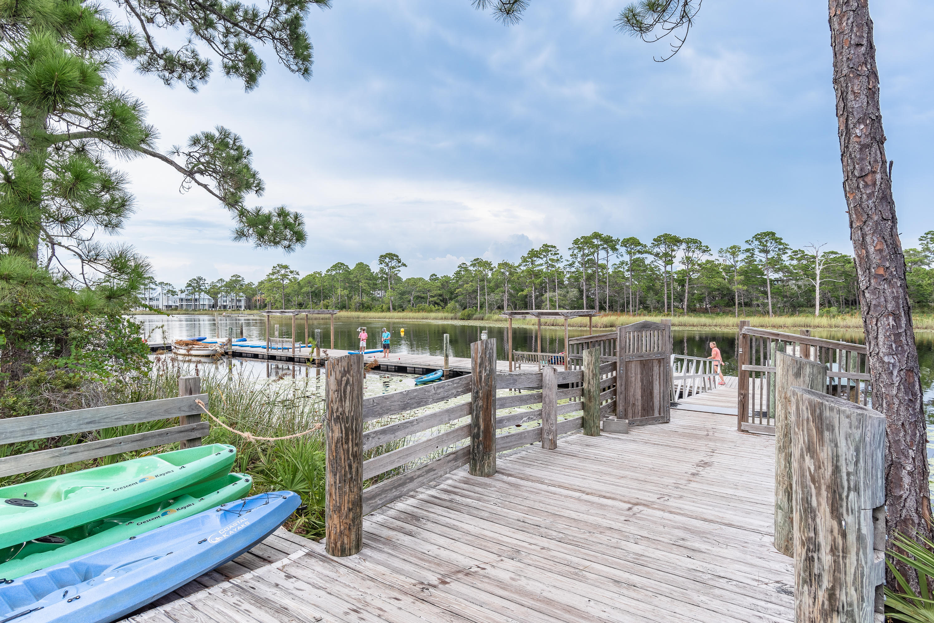 139 Silver Laurel Way Santa Rosa Beach, FL 32459 - Photo 49 of 65 139 Silver Laurel-62
