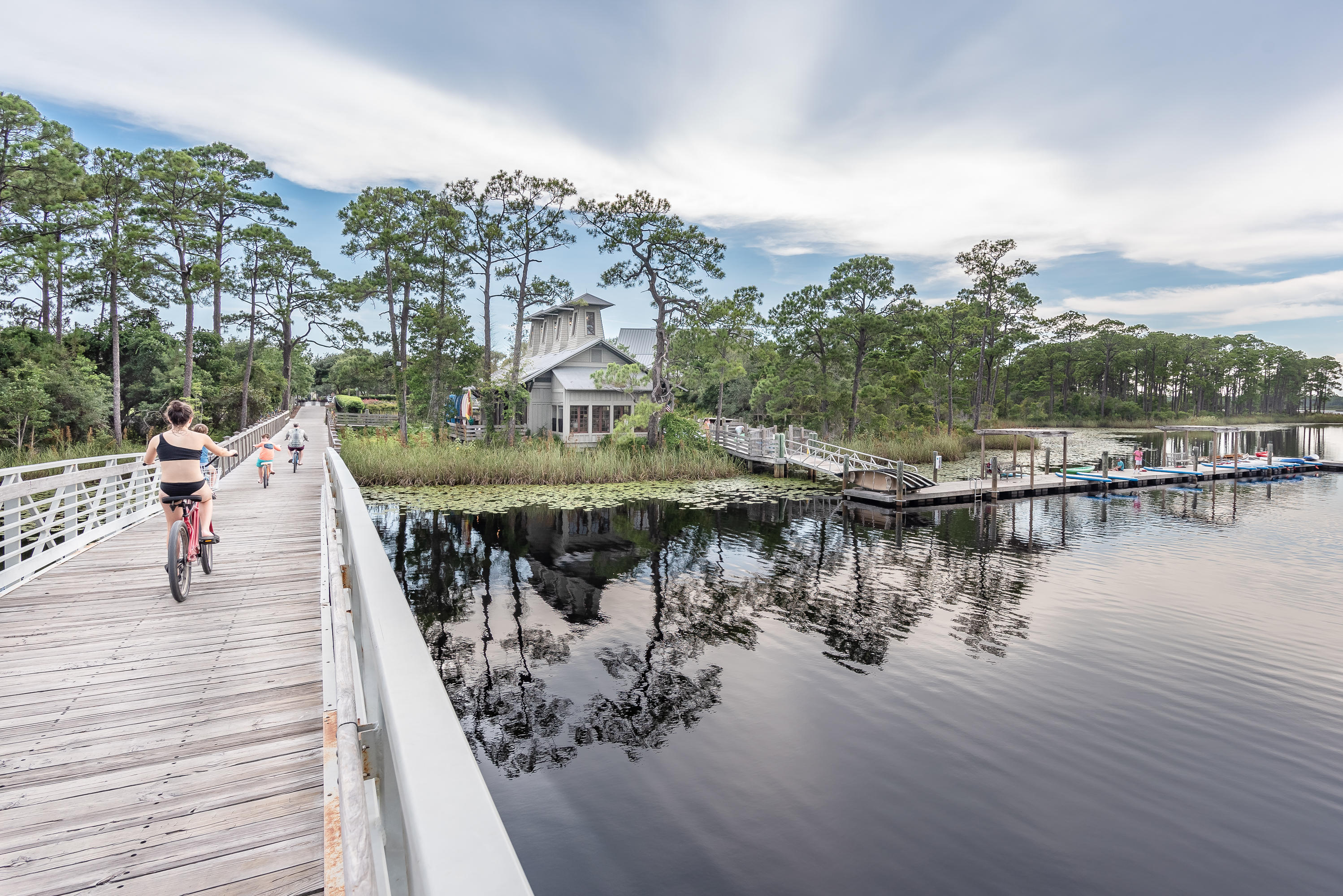 139 Silver Laurel Way Santa Rosa Beach, FL 32459 - Photo 50 of 65 139 Silver Laurel-57