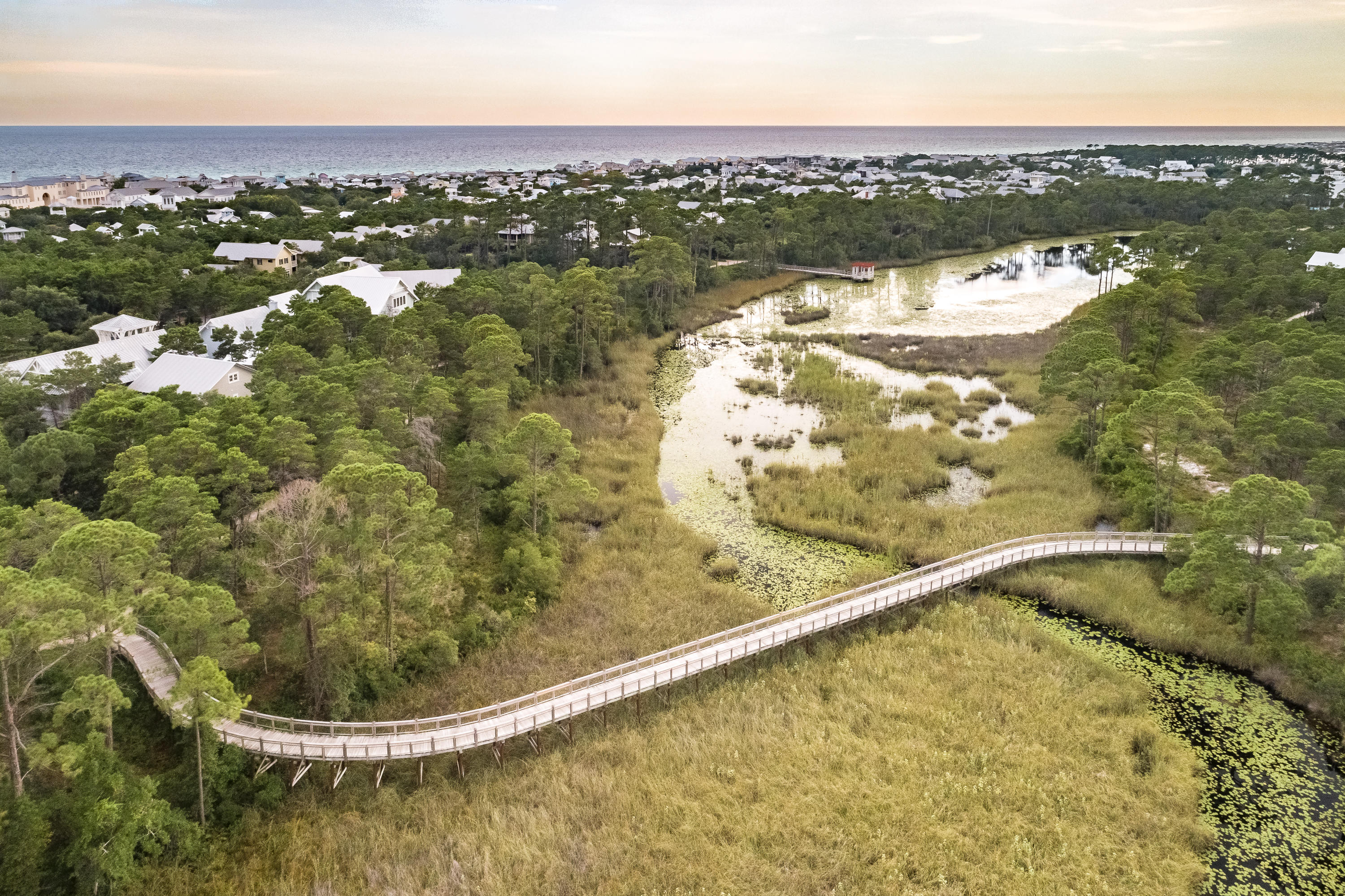 139 Silver Laurel Way Santa Rosa Beach, FL 32459 - Photo 54 of 65 139 Silver Laurel-67