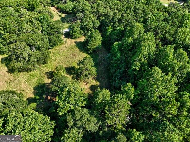 0 New Hope Church Road Monroe, GA 30656 - Photo 12 of 30 a view of a garden with plants